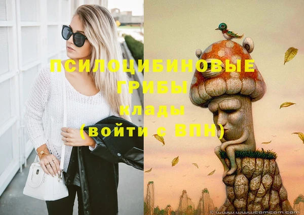 ПСИЛОЦИБИНОВЫЕ ГРИБЫ Кинешма