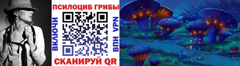 Купить  Болгар  Галлюциногенные грибы Cubensis 